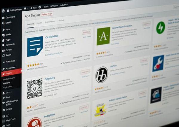 The 5 Most Vulnerable WordPress Plugins in 2024 and How to Protect Yourself